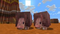 Minecraft - two armadillos stand inthe badlands together